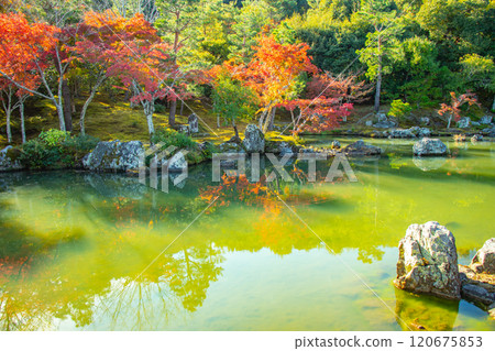 [Kyoto Scenery] Tenryu-ji Temple: A stroll-style garden with a pond and autumn leaves 120675853