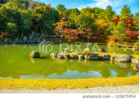 [Kyoto Scenery] Tenryu-ji Temple: A stroll-style garden with a pond and autumn leaves 120675854