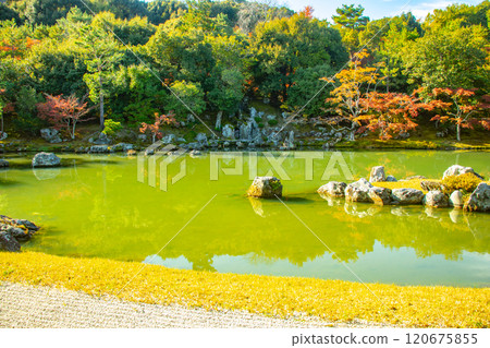[Kyoto Scenery] Tenryu-ji Temple: A stroll-style garden with a pond and autumn leaves 120675855