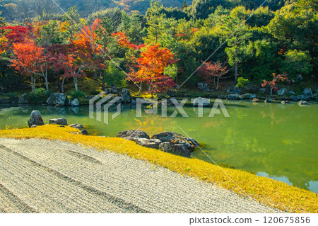 [Kyoto Scenery] Tenryu-ji Temple: A stroll-style garden with a pond and autumn leaves 120675856