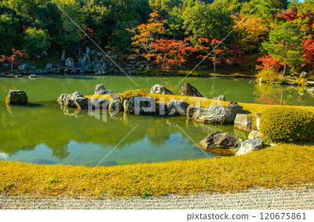 【京都風光】天龍寺秋葉池漫步庭園 120675861