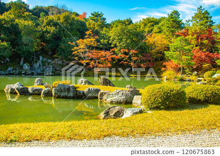 [Kyoto Scenery] Tenryu-ji Temple: A stroll-style garden with a pond and autumn leaves 120675863