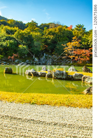 [Kyoto Scenery] Tenryu-ji Temple: A stroll-style garden with a pond and autumn leaves 120675866