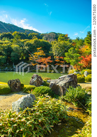 [Kyoto Scenery] Tenryu-ji Temple: A stroll-style garden with a pond and autumn leaves 120675880