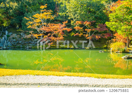 [Kyoto Scenery] Tenryu-ji Temple: A stroll-style garden with a pond and autumn leaves 120675881