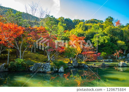 [Kyoto Scenery] Tenryu-ji Temple: A stroll-style garden with a pond and autumn leaves 120675884