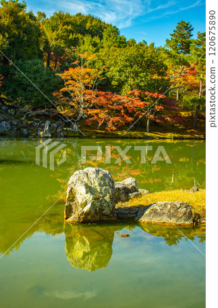 【京都風光】天龍寺秋葉池漫步庭園 120675890