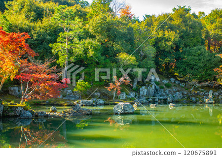 【京都風光】天龍寺秋葉池漫步庭園 120675891