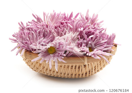 山形特產食用菊花 120676184