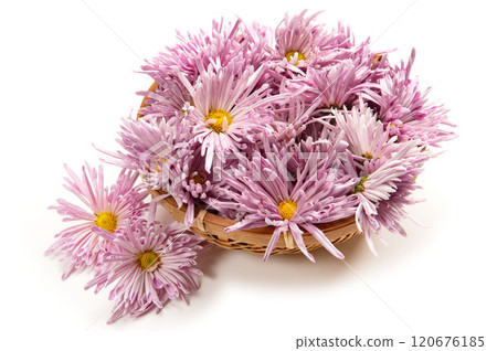 山形特產食用菊花 120676185