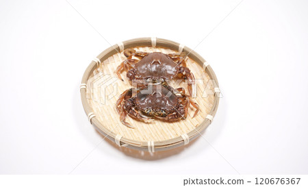 螃蟹 螃蟹 120676367