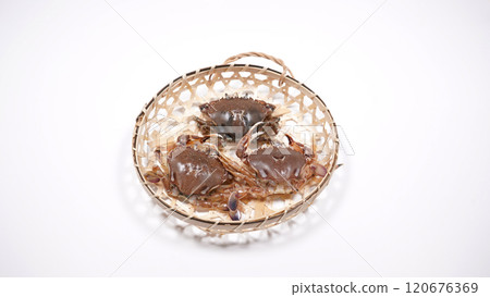 螃蟹 螃蟹 120676369