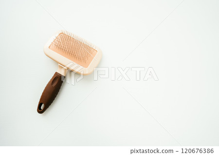 Cat brush on a white background Cat brush on a white background 120676386