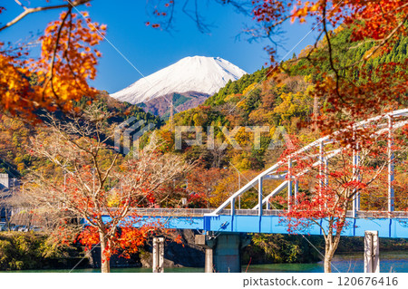 【神奈川縣】丹澤湖畔的紅葉和遠處的富士山 120676416