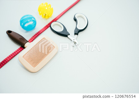 Cat nail clippers, cat brushes, toys, leashes 120676554