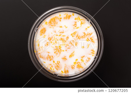 橘子奶凍【北海道牛奶】 橘子奶凍【北海道牛奶】 120677205