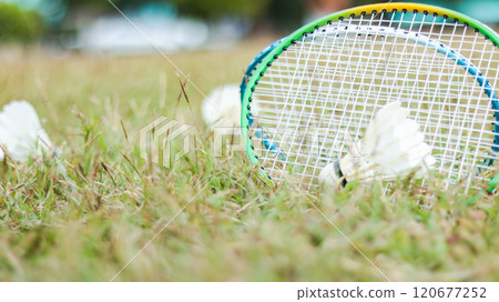 A badminton racket and shuttlecock resting on a grassy field, symbolizing the joy of outdoor sports, healthy living, and the importance of recreational activities to build fitness and bonds. 120677252