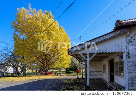 上總鶴舞站的大銀杏樹 120677302