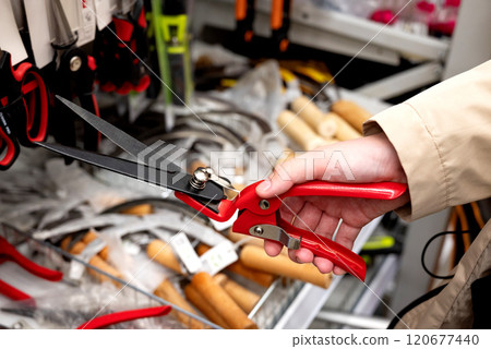 a customer chooses a garden shears for himself in a garden supply store. a customer chooses a garden shears for himself in a garden supply store. 120677440