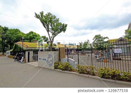 板橋兒童動物園（板橋） 120677538