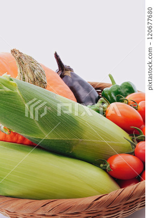 I tried to collect summer vegetables. I tried to collect summer vegetables. 120677680