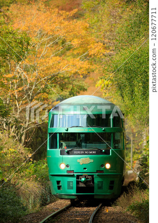 The limited express "Yufuin no Mori" (JR Kyushu) crosses the colorful Mizubun Pass 120677711