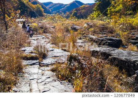 Nagatoro Town, Saitama Prefecture: Autumn leaves on the Nagatoro Rock Beds 120677849