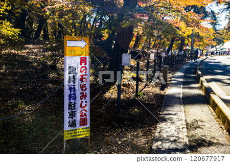 埼玉縣長瀞町月之紅葉公園 埼玉縣長瀞町月之紅葉公園 120677917
