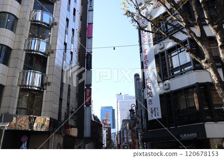 Shinjuku city skyline Shinjuku city skyline 120678153