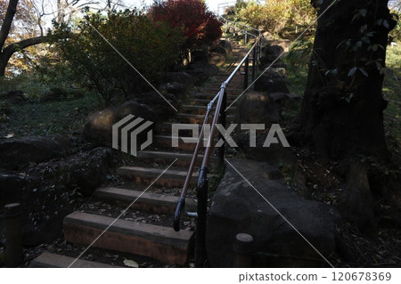 富山公園 富山公園 120678369