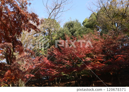 富山公園 富山公園 120678371