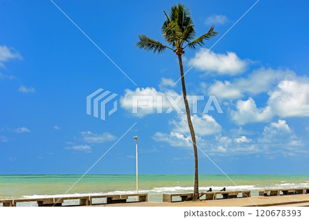 Boa Viagem Beach Boa Viagem Beach 120678393