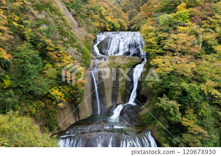 Fukuroda Falls in autumn colors (Daigo Town, Ibaraki Prefecture) 120678930