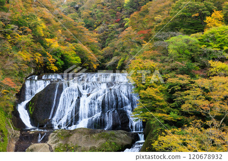 Fukuroda Falls in autumn colors (Daigo Town, Ibaraki Prefecture) 120678932