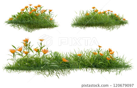 Grass field group collection PNG transparent Grass field group collection PNG transparent 120679097