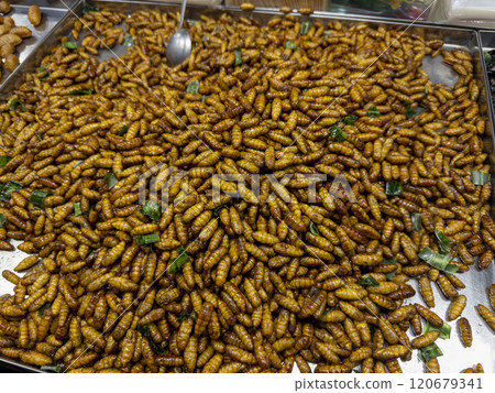 Deep fried bamboo caterpillar, local northern Thailand food, Thai street food Deep fried bamboo caterpillar, local northern Thailand food, Thai street food 120679341