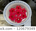 seven Red hibiscus Flowers Floating in Water, Top view 120679349