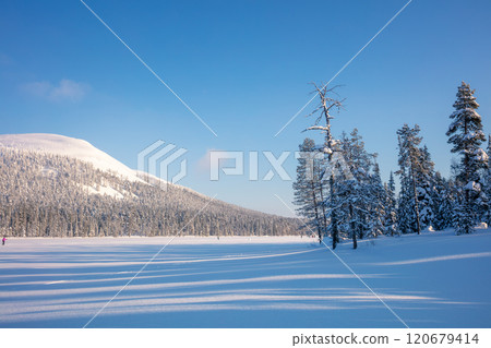 Winter Sunny Day and Skiing in Nature 120679414