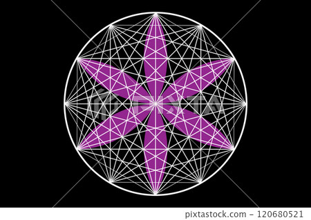 Seal of sacred geometry, Flower of life, purple lotus flower. mandala ornament Seed of Life icon, esoteric or spiritual symbol. Logo line art design isolated on black background, vector illustration Seal of sacred geometry, Flower of life, purple lotus flower. mandala ornament Seed of Life icon, esoteric or spiritual symbol. Logo line art design isolated on black background, vector illustration 120680521