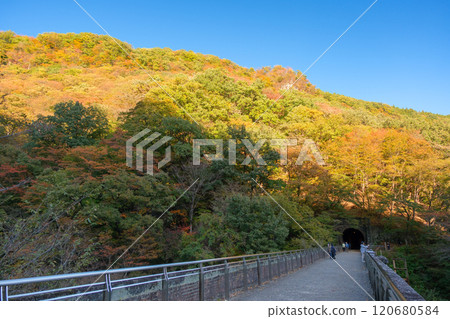 Autumn in Annaka, Gunma Prefecture: Usui Pass, Aputo Road, and Megane Bridge Promenade 120680584