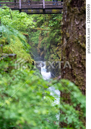 Majestic Sol Duc Falls in Olympic National Park Amidst Lush Greenery. 120680699