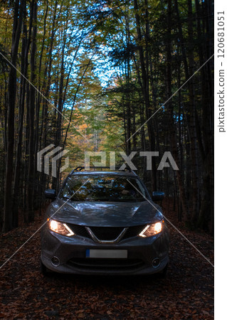 Car in Autumn Forest Path 120681051
