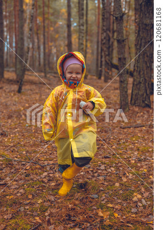 Smiling child in yellow raincoat and boots walks through beautiful autumn forest holding pine cone and enjoying exploring nature. Child walking in forest. 120681168