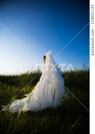 An angel with large white wings stands on a grassy field, a clear blue sky serves as a backdrop to the serene and ethereal scene. The angel represents hope and faith in a bright future. 120681185