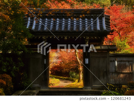 The mountain gate in autumn with beautiful autumn leaves The mountain gate in autumn with beautiful autumn leaves 120681243