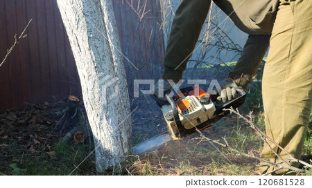 a man in work clothes with an old chainsaw in his hands, bending over, cutting down a tree at the root in a garden, park or forest a man in work clothes with an old chainsaw in his hands, bending over, cutting down a tree at the root in a garden, park or forest 120681528
