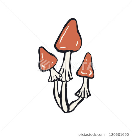 Hand drawn inky sketch style amanita mushroom 120681690