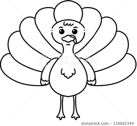 turkey turkey 120682344