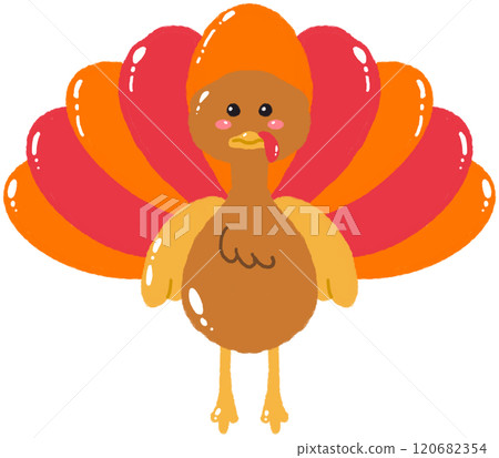 turkey turkey 120682354