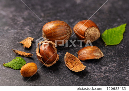 Hazelnuts on dark background 120682483